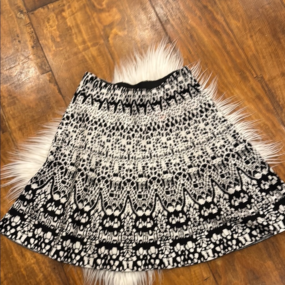 Stylish Black and White Skirt